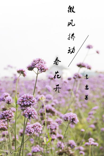 微风拂动，春花开